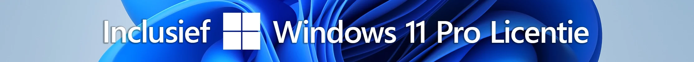 Inclusief Windows 11 Pro Licentie